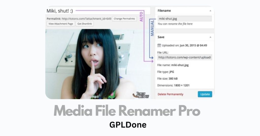 Free Download Media File Renamer Pro v6.0.2 WP Plugin